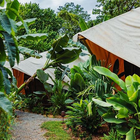 Jungle Gayborhood Hotel And Retreat Center San Luis  المظهر الخارجي الصورة