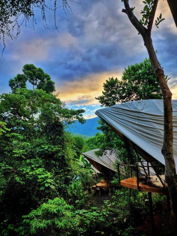 Jungle Gayborhood Hotel And Retreat Center San Luis  المظهر الخارجي الصورة