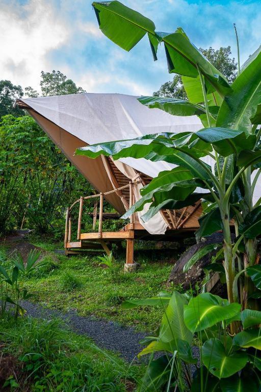 Jungle Gayborhood Hotel And Retreat Center San Luis  المظهر الخارجي الصورة