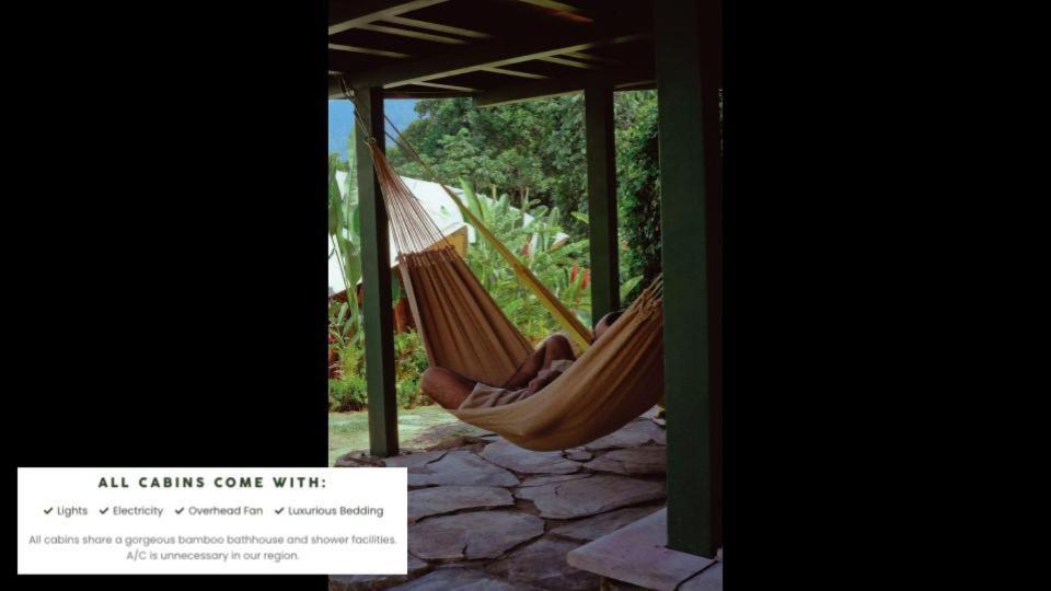 Jungle Gayborhood Hotel And Retreat Center San Luis  المظهر الخارجي الصورة