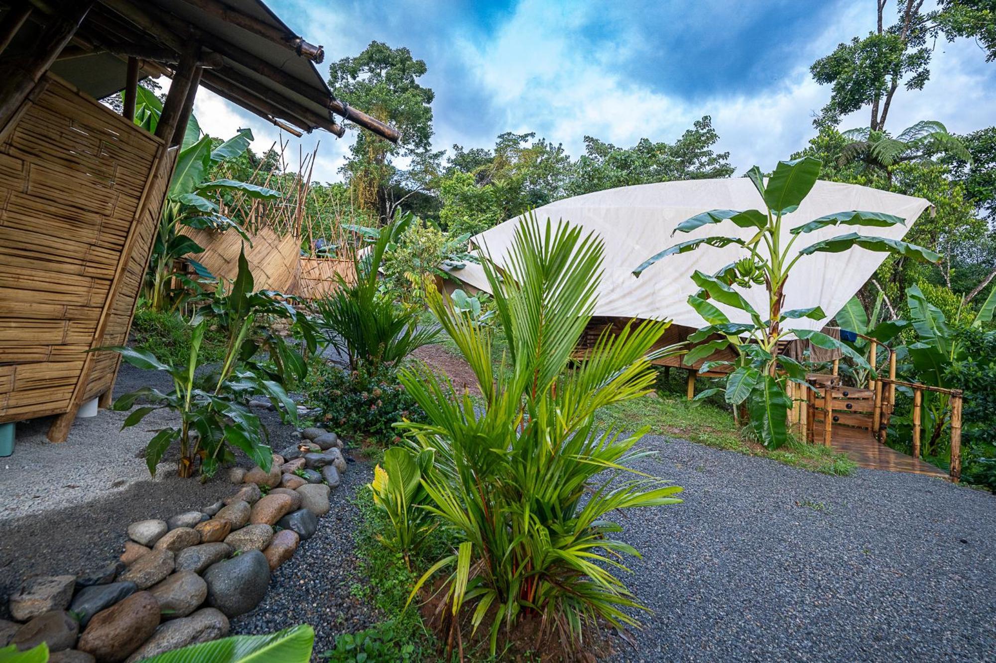 Jungle Gayborhood Hotel And Retreat Center San Luis  المظهر الخارجي الصورة