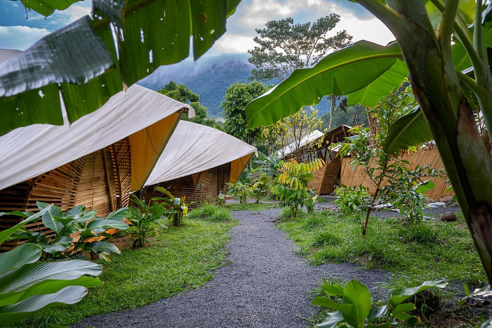Jungle Gayborhood Hotel And Retreat Center San Luis  المظهر الخارجي الصورة