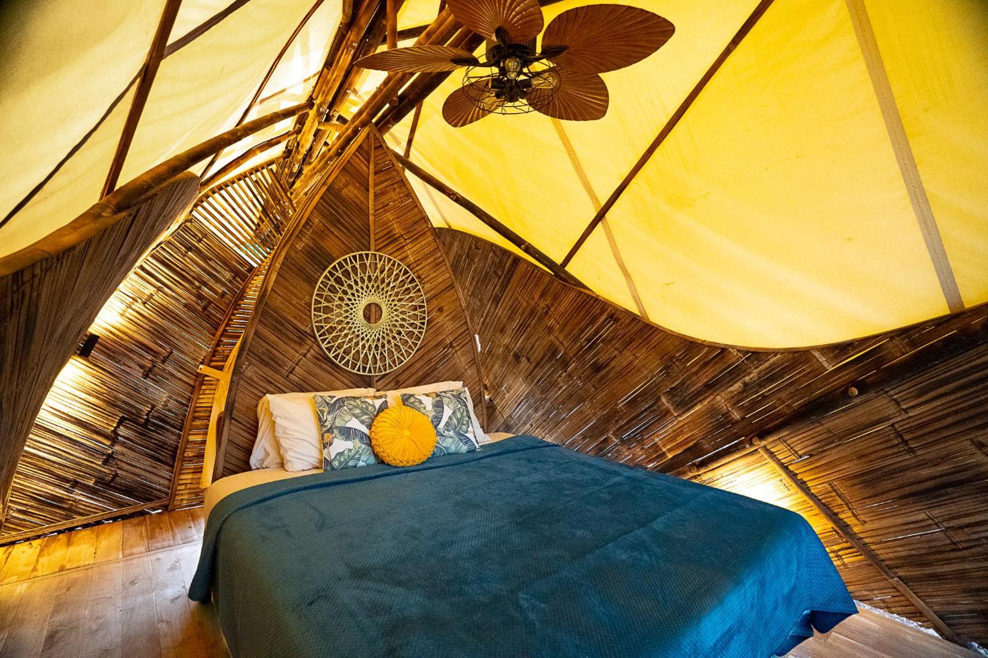 Jungle Gayborhood Hotel And Retreat Center San Luis  المظهر الخارجي الصورة