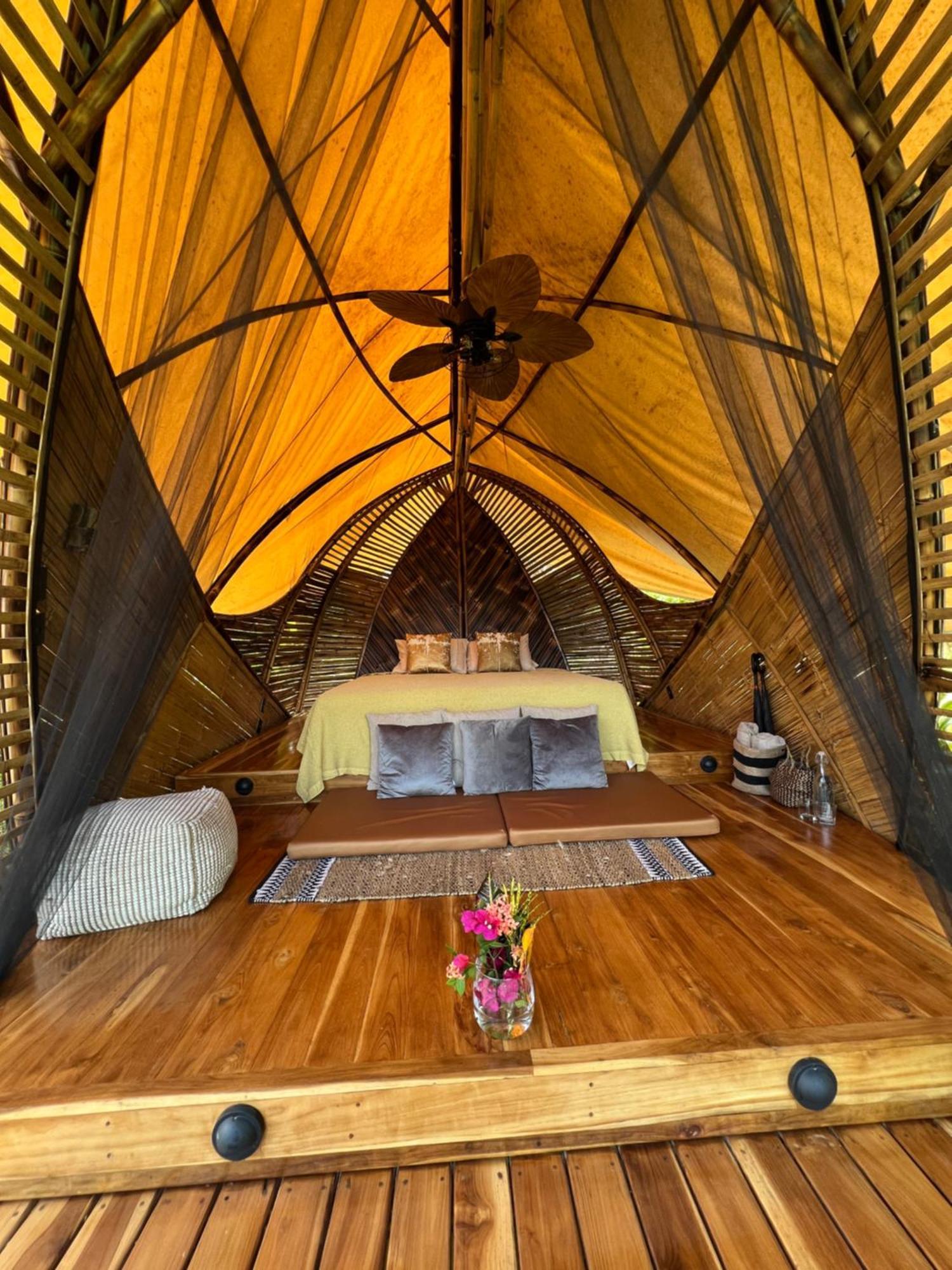 Jungle Gayborhood Hotel And Retreat Center San Luis  المظهر الخارجي الصورة